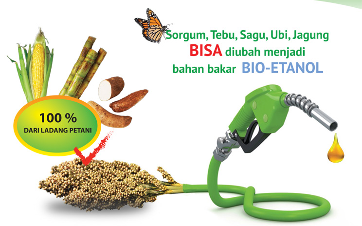 http://sure-indonesia.com/sure/4dm1n/js/kcfinder/upload/images/Solution/bio-ethanol-brosur-draft-08-1.jpg